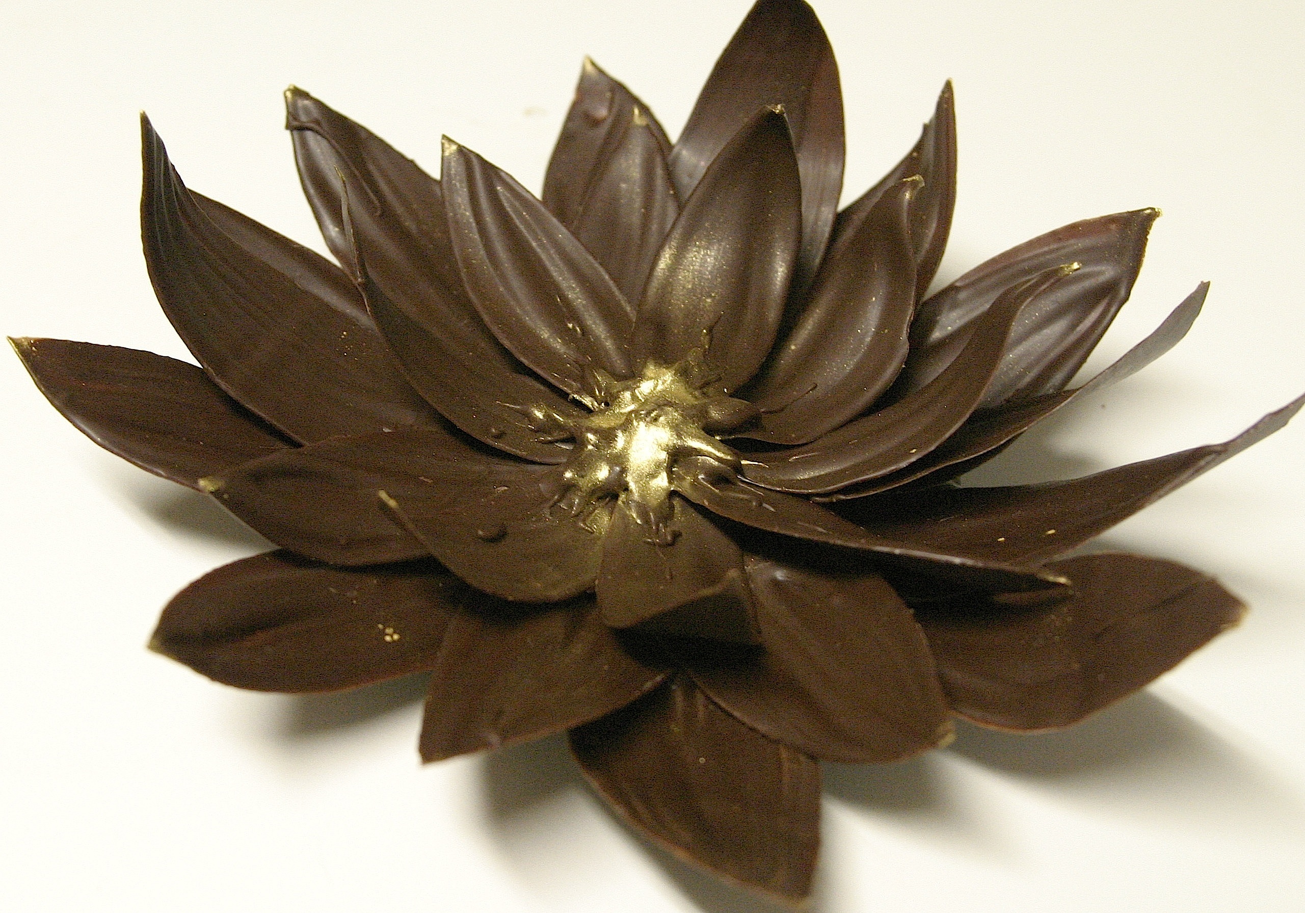 kats-chocolate-lotus-flower
